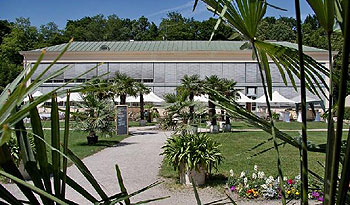 Picture: Restaurant "Schlosscafé im Palmenhaus"